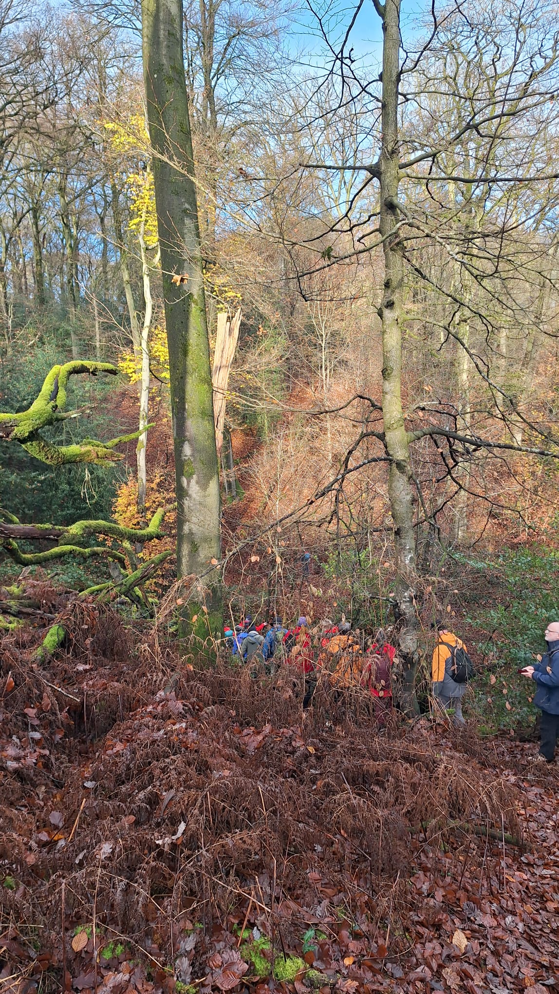 WhatsApp Image 2025-12-13 at 21.02.04